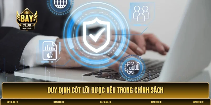 điều khoản chính sách