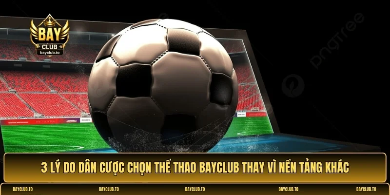 thể thao Bayclub